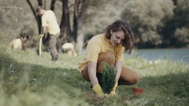 Best Pest Control for Lawns  in Oceanside, NY